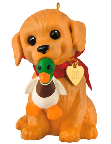 2026 Golden Retriever - Puppy Love 36th